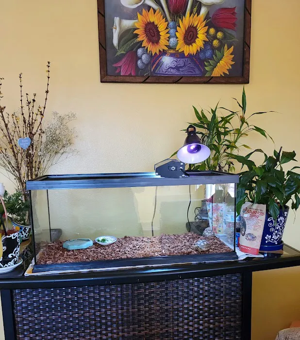 Wow Fish and Pet ( Aquarium ) 12
