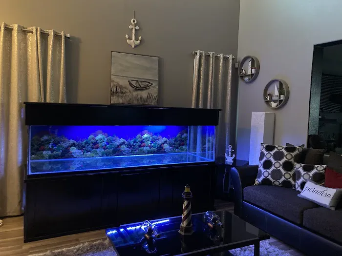 Wow Fish and Pet ( Aquarium ) 12
