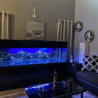 Wow Fish and Pet ( Aquarium ) ico