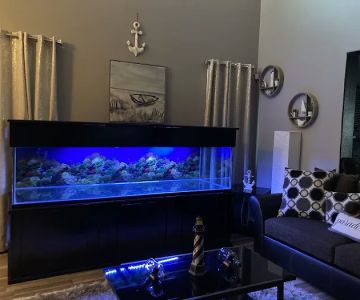 Wow Fish and Pet ( Aquarium )