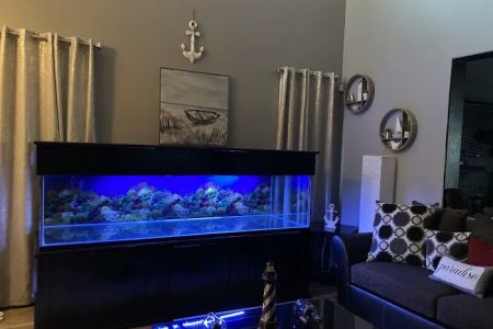 Wow Fish and Pet ( Aquarium )