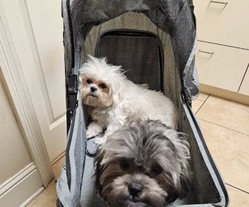 Pet Care Center