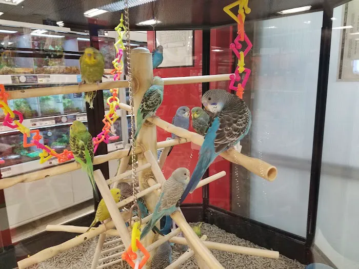 Petco 12