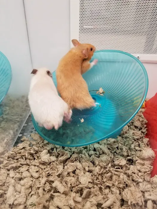 Petco 12