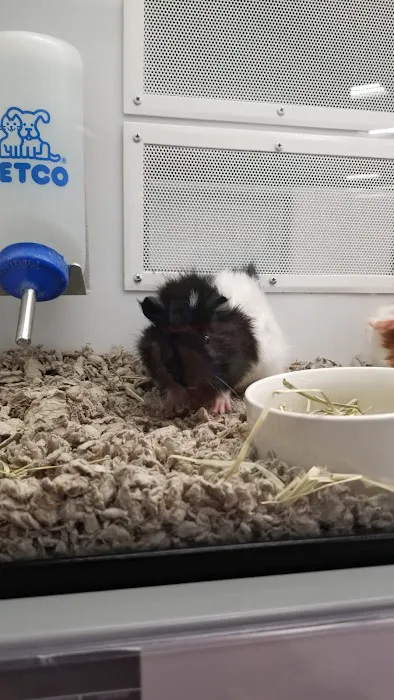 Petco 12