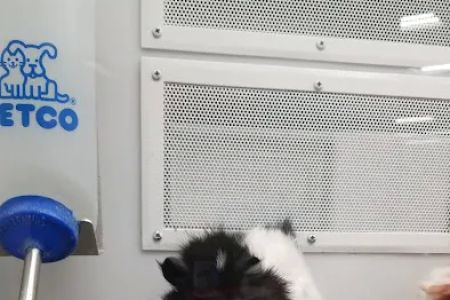 Petco