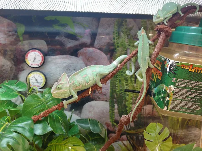 Petco 12