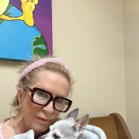 Pet Care Center Inc: Lanaux Amelie DVM ico