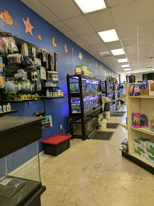 Victor valley pet store 12