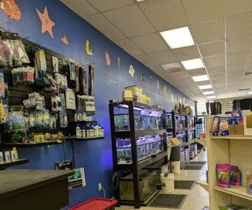 Victor valley pet store