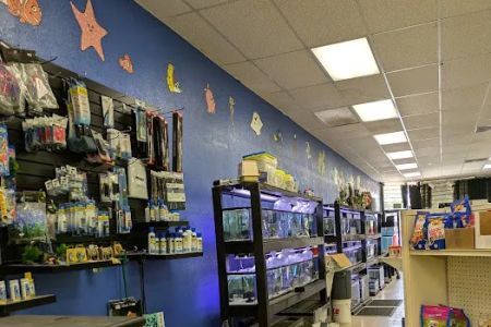 Victor valley pet store