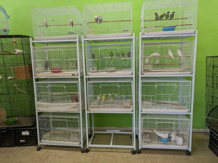 Victor valley pet store 12