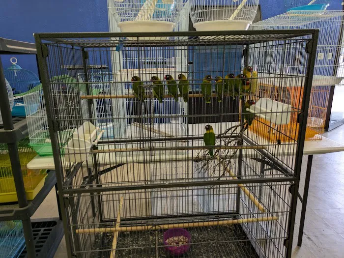 Victor valley pet store 12