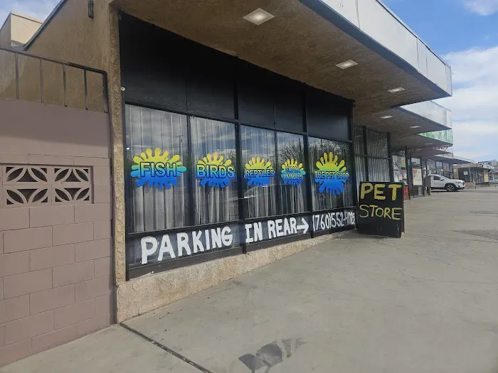 THE PET SHOP 12