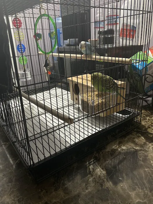 THE PET SHOP 12