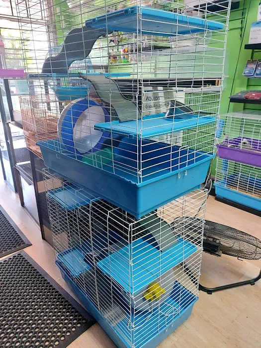THE PET SHOP 12