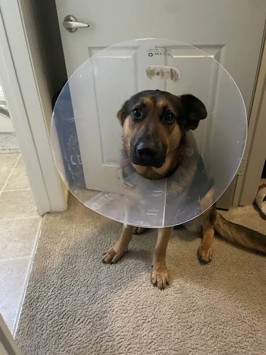 San Diego Affordable Spay and Neuter Clinic (North Park) 12