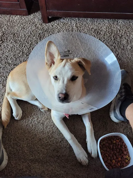 San Diego Affordable Spay and Neuter Clinic (North Park) 12