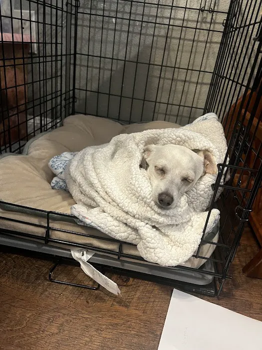 San Diego Affordable Spay and Neuter Clinic (North Park) 12