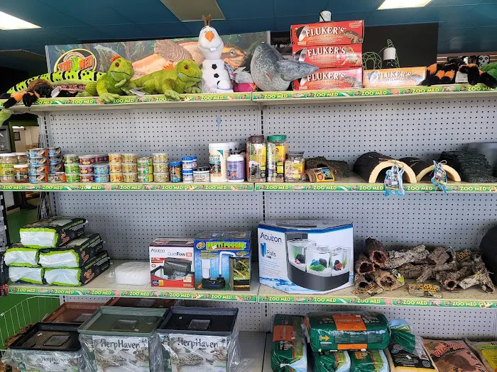 Rog Reptiles 12