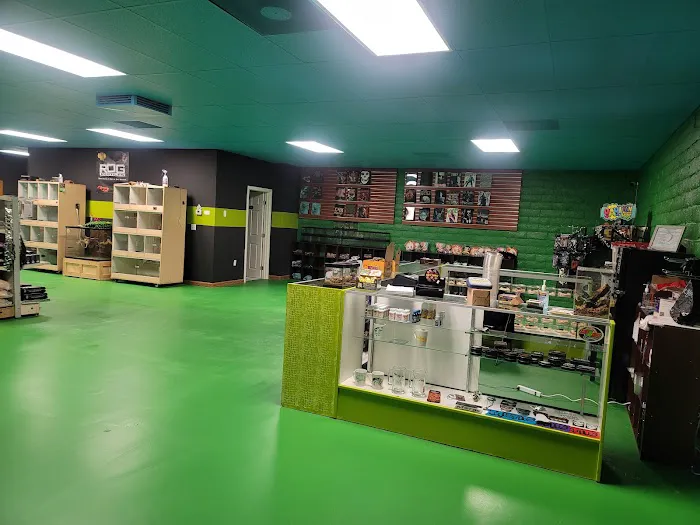 Rog Reptiles 12