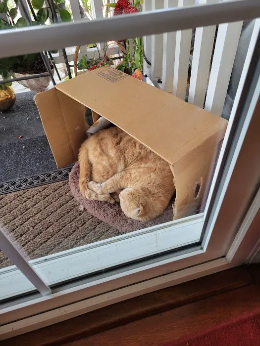 The Pet Clinic 12