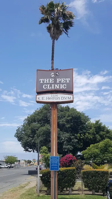 The Pet Clinic 12