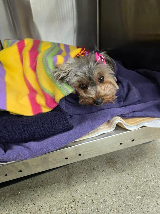 Vetco Total Care Animal Hospital 12