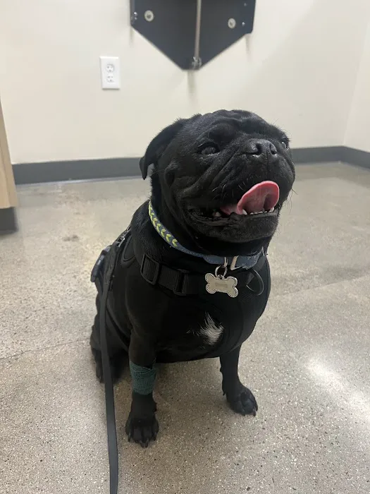 Vetco Total Care Animal Hospital 12