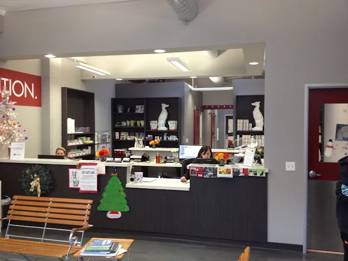 VCA Market Street Animal Hospital 12