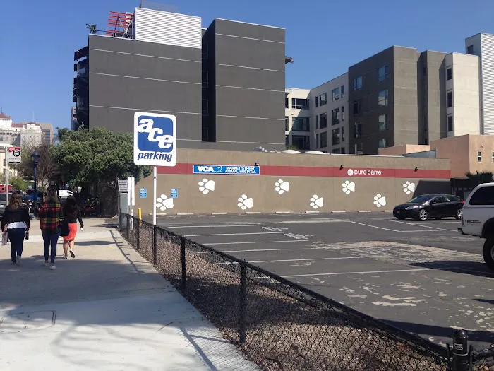 VCA Market Street Animal Hospital 12