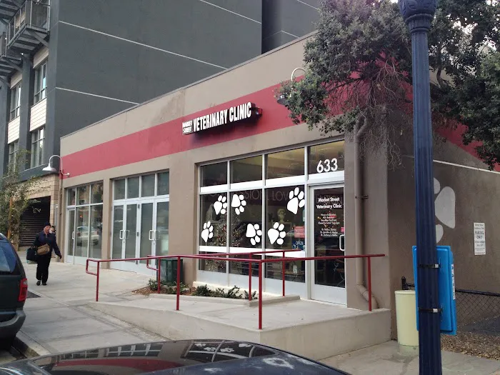 VCA Market Street Animal Hospital 12