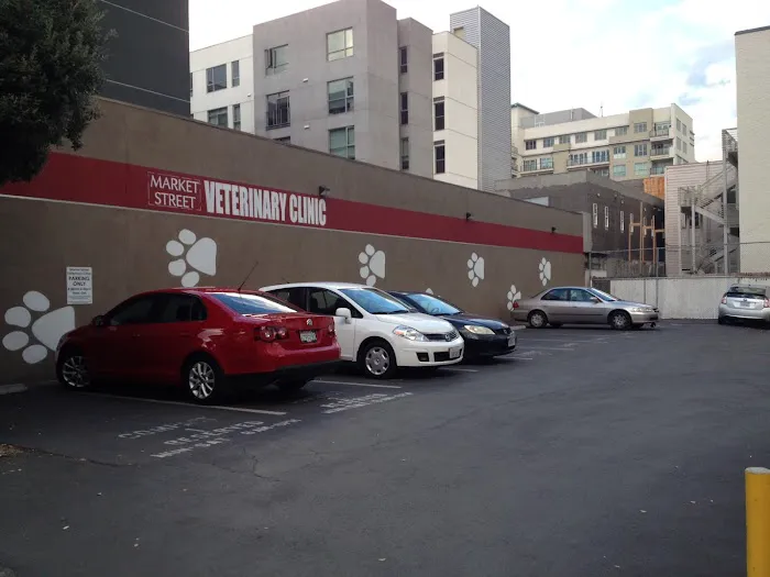 VCA Market Street Animal Hospital 12