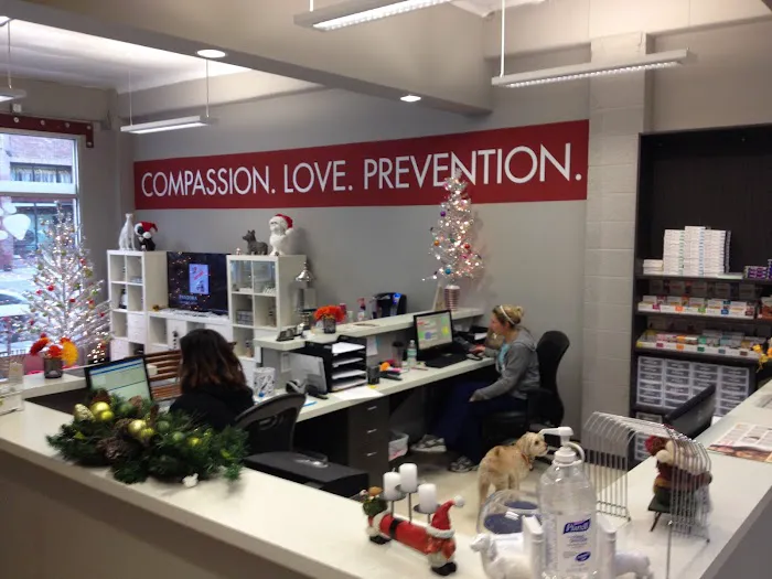 VCA Market Street Animal Hospital 12