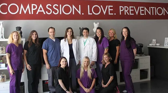 VCA Market Street Animal Hospital 12