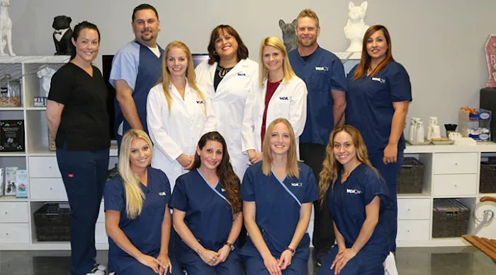 VCA Market Street Animal Hospital 12