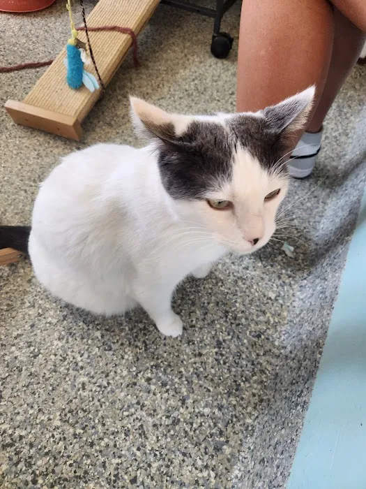 Coronado Animal Care facility 12