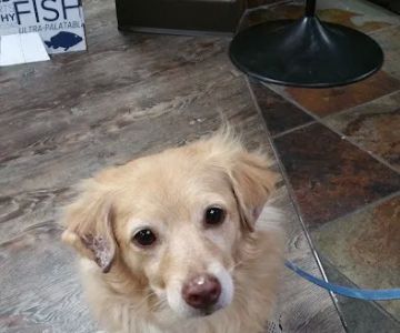Healthy Pet Pantry