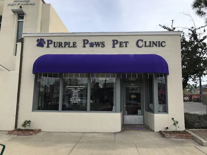 Purple Paws Pet Clinic 12