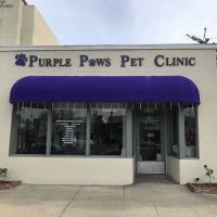 Purple Paws Pet Clinic ico