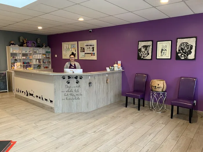 Purple Paws Pet Clinic 12