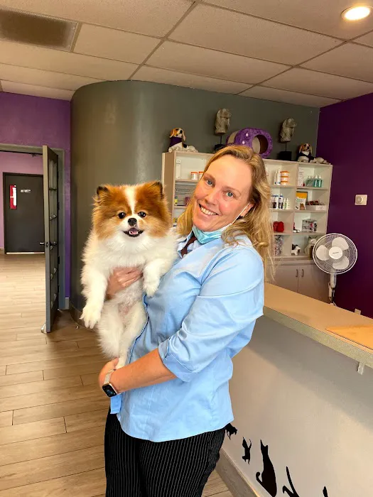 Purple Paws Pet Clinic 12