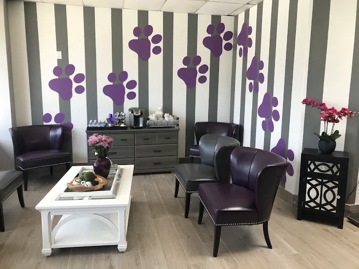 Purple Paws Pet Clinic 12