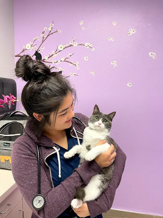 Purple Paws Pet Clinic 12