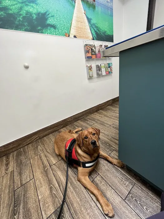 Imperial Beach Pet Hospital & Urgent Care 12