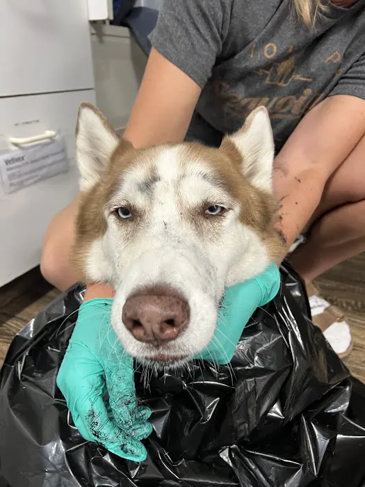 Imperial Beach Pet Hospital & Urgent Care 12