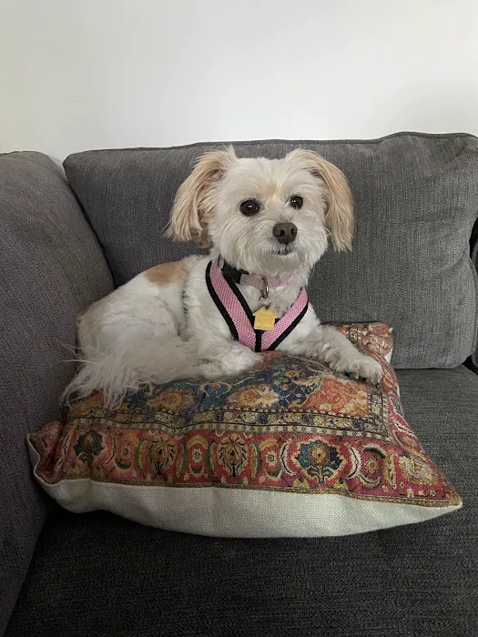 Imperial Beach Pet Hospital & Urgent Care 12