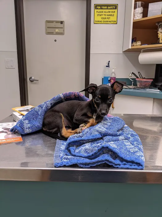 Imperial Beach Pet Hospital & Urgent Care 12