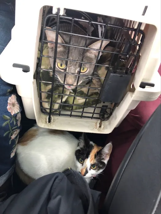 Imperial Beach Pet Hospital & Urgent Care 12