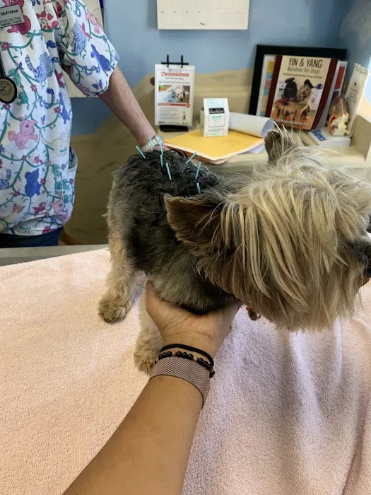 South San Diego Veterinary Hospital 12
